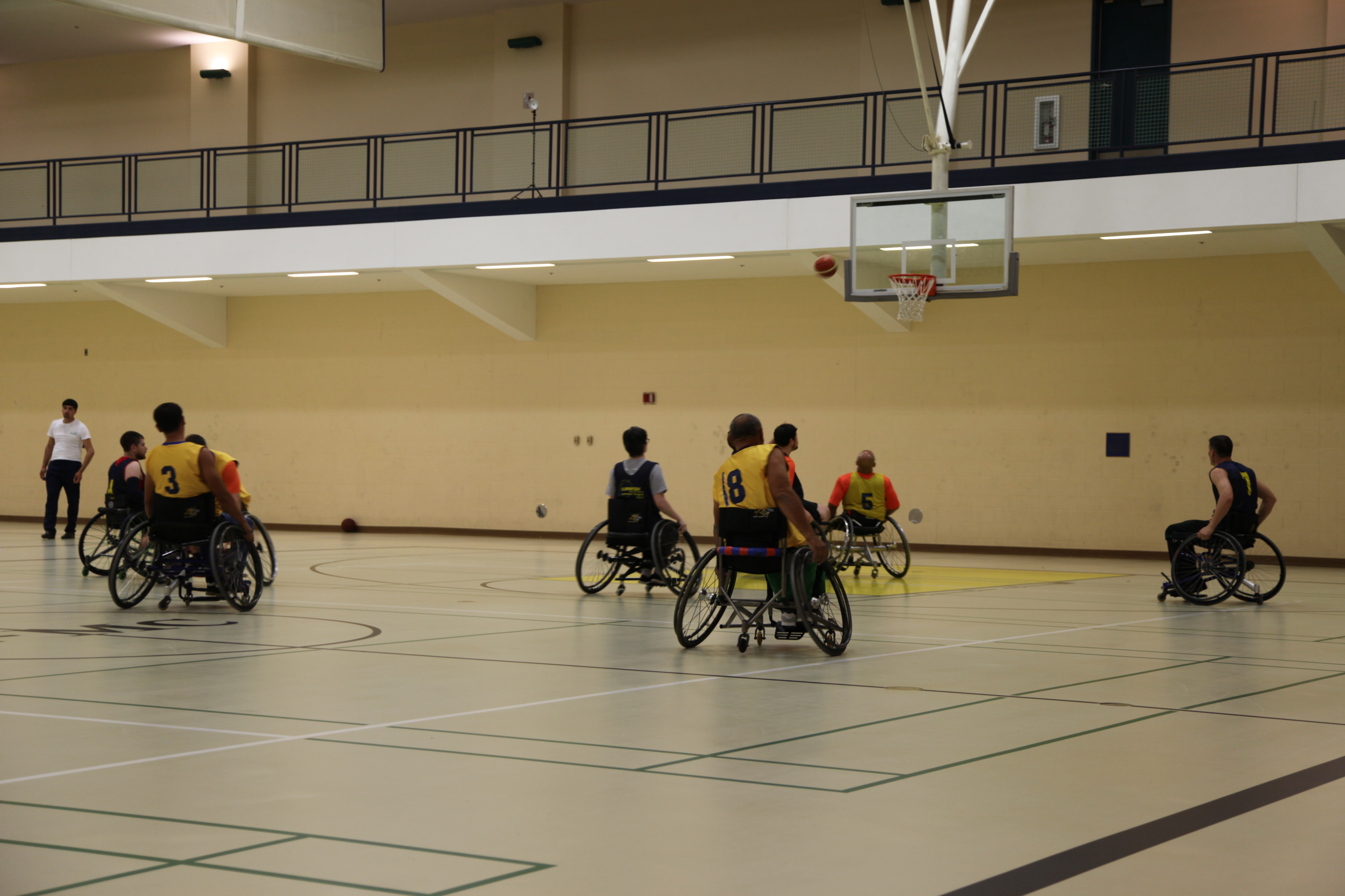 wheelchair basketball 